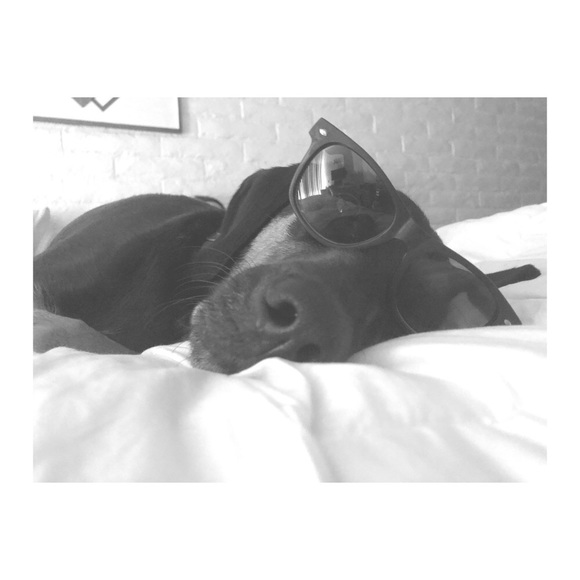 Meet Your Posher, Robin! 🌞🌵🌝 - Picture 2 of 3